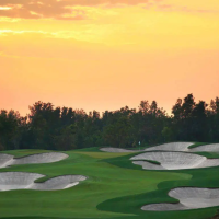 Golf Camp